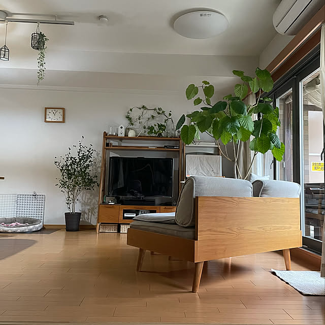 shizu2380さんの実例写真