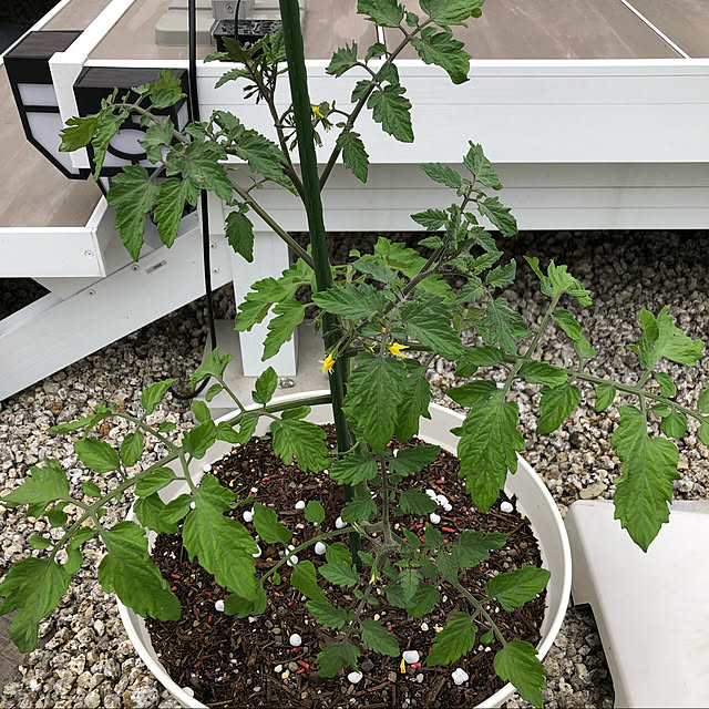 ayanyanさんの実例写真