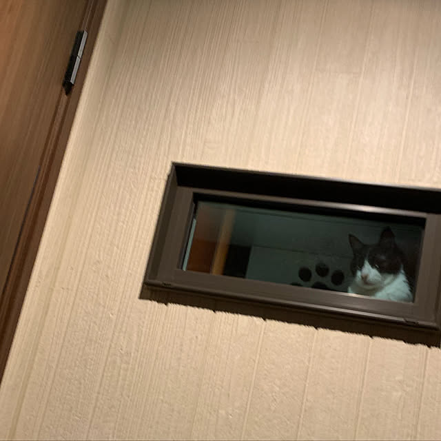 mikeume7さんの実例写真