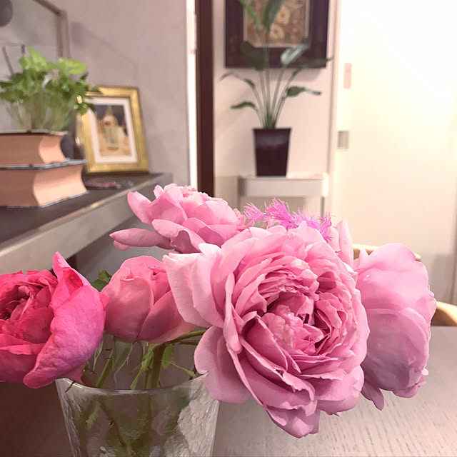 home_m_styleさんの実例写真