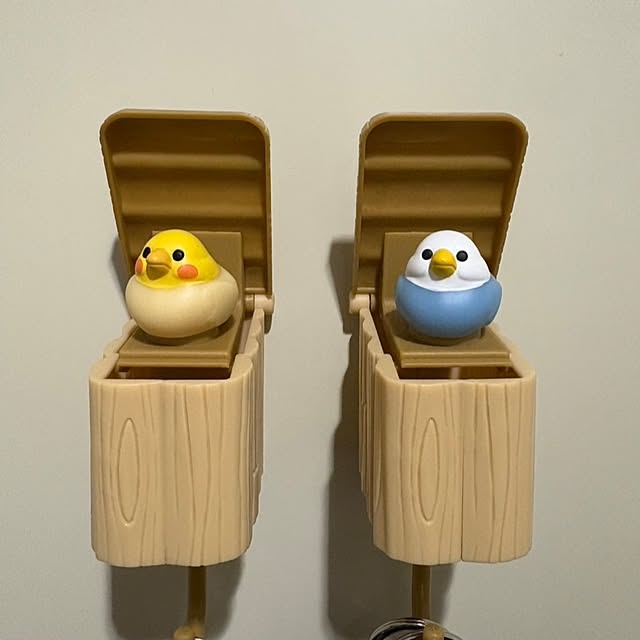 toratanさんの実例写真