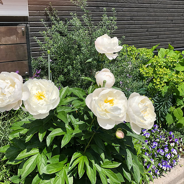 Aiさんの部屋