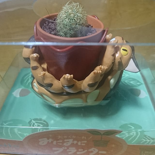shinobuさんの実例写真