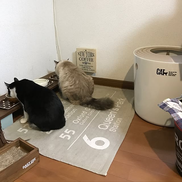 kazaneさんの実例写真
