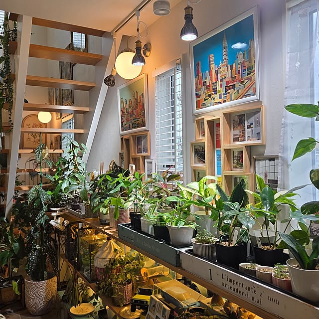 棚/壁面収納/RoomClip運営チームの皆様に感謝♡/観葉植物のある暮らし/RoomClipの出逢いに感謝♡...などのインテリア実例 - 2026-04-05 05:55:14