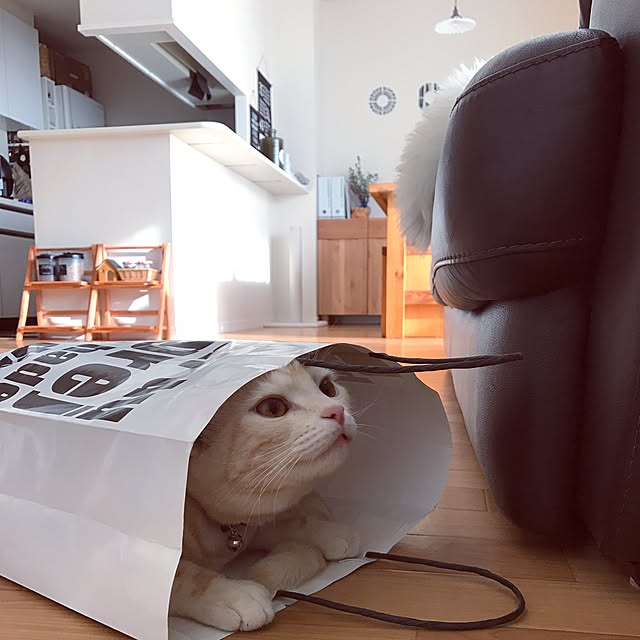 hiyupan88さんの実例写真