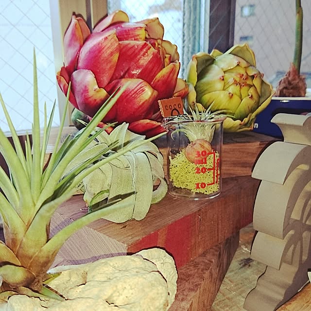 cocosorasakuさんの実例写真
