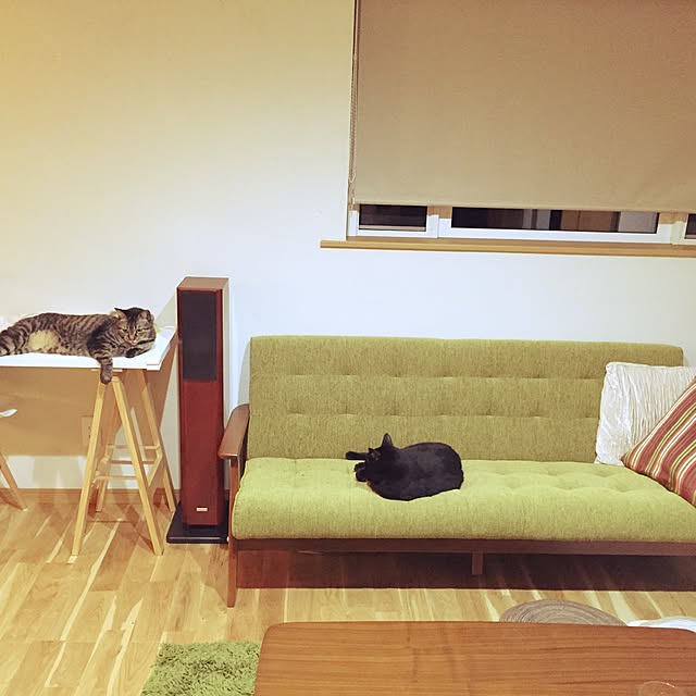 damahi1012さんの実例写真