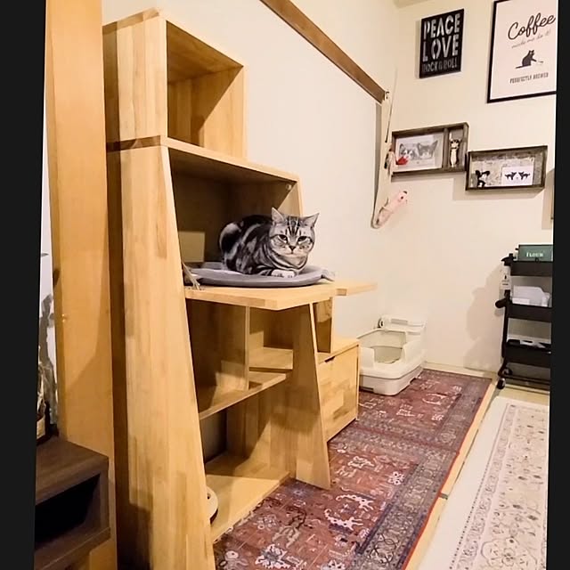 lovepeaceさんの部屋