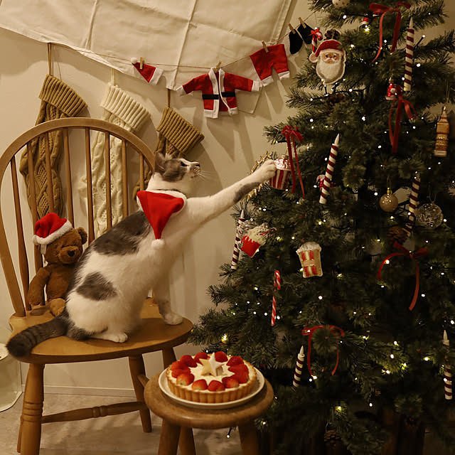 comiriさんの部屋