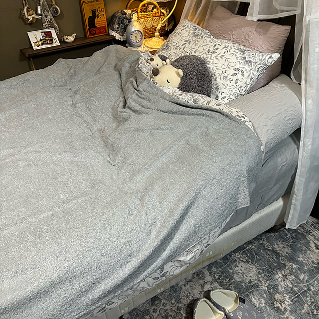 momocchiさんの実例写真