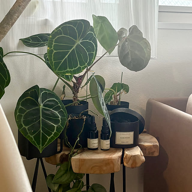 mumuさんの実例写真