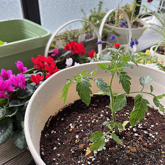 leonさんの実例写真