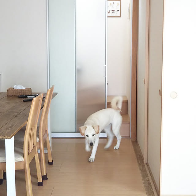 kaoriさんの実例写真