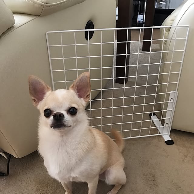 rosemaryさんの実例写真