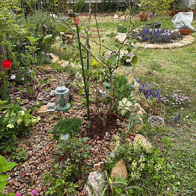 madeleineさんの部屋