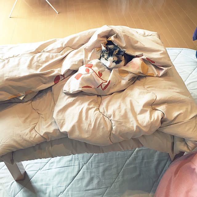 mayugonさんの実例写真