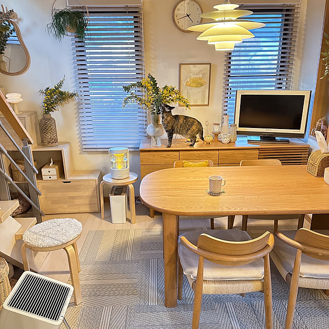 chinaさんの部屋