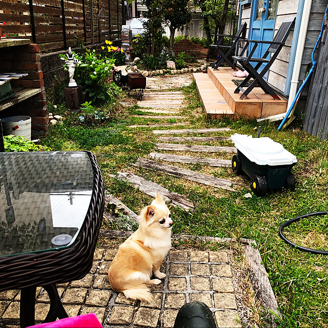 chiyukouさんの実例写真