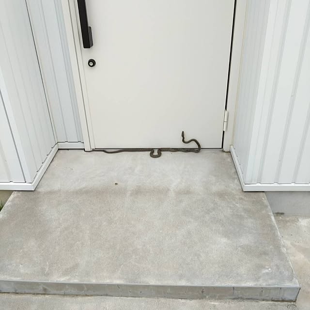rienbo0510さんの実例写真