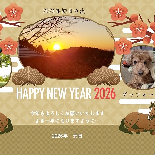 midoriさんの部屋