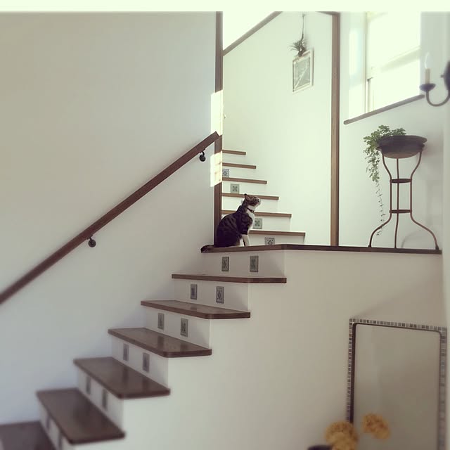 shio2772さんの実例写真