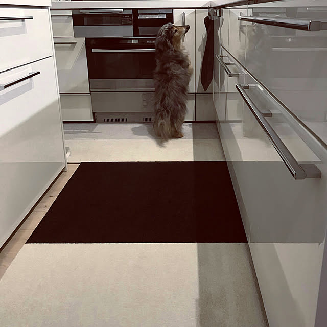 gomashioさんの実例写真