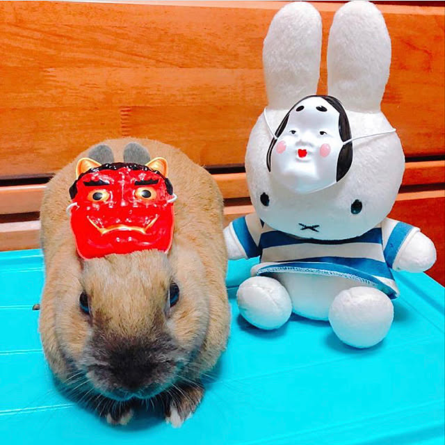 kqjrfさんの実例写真