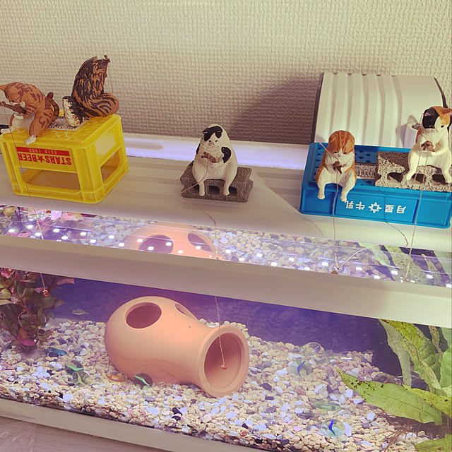 y-r00mさんの実例写真