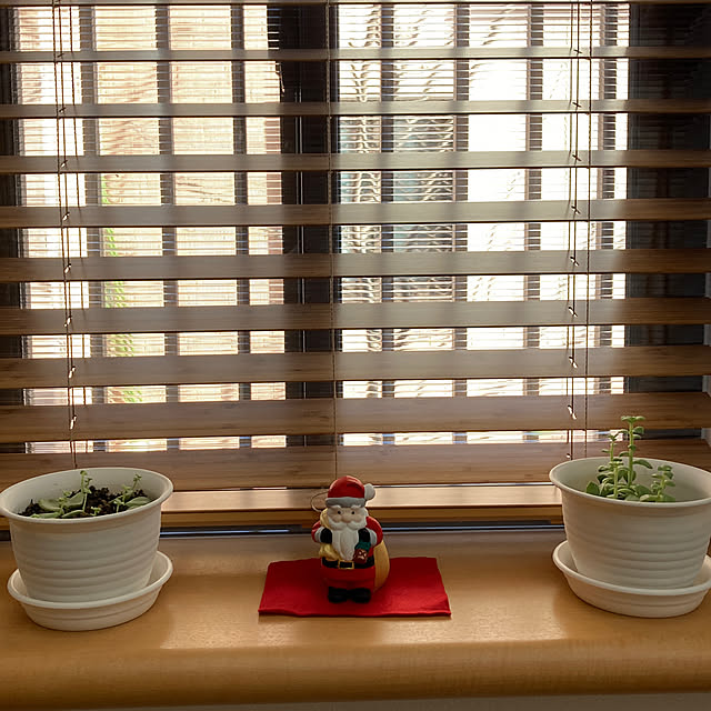 SATO_PASTAさんの実例写真