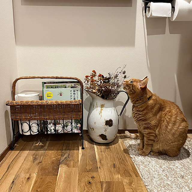 Maruさんの実例写真