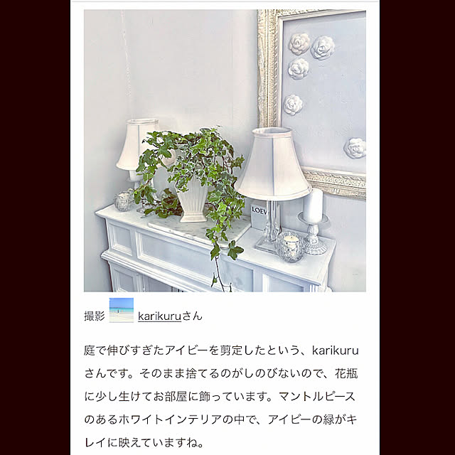 karikuruさんの実例写真