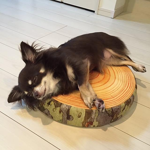ikuyoさんの実例写真
