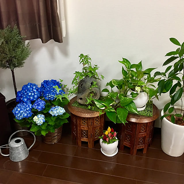 実例写真