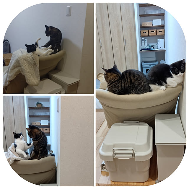 hihaさんの実例写真