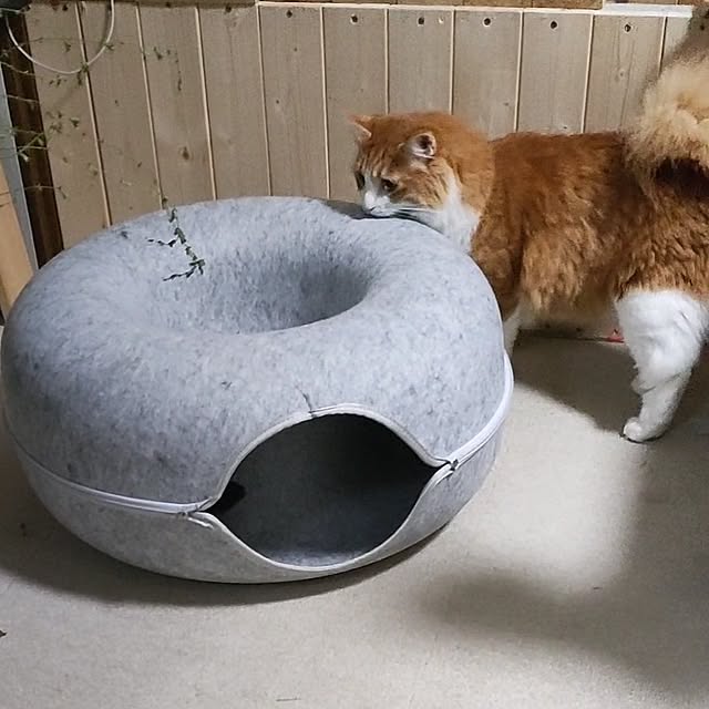 mori_6_12さんの部屋