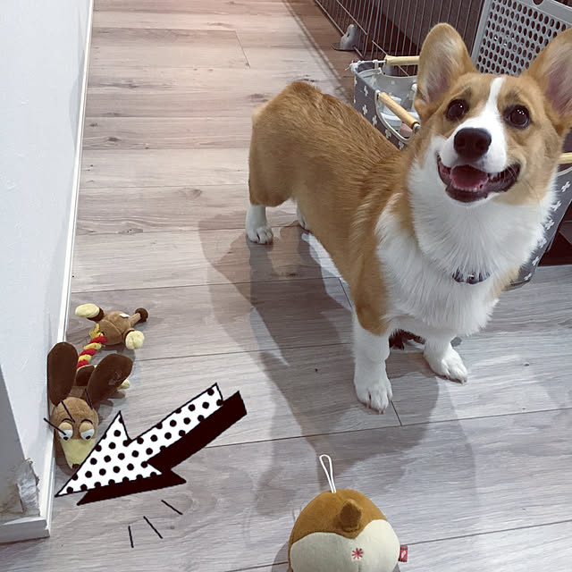 3ayuさんの実例写真