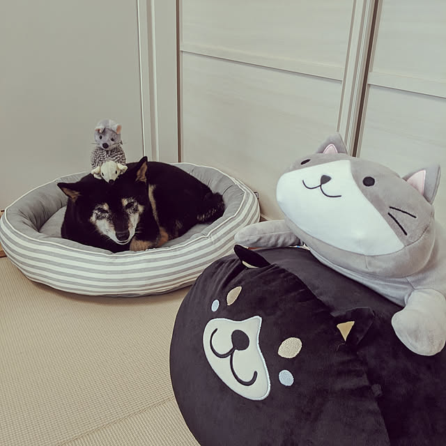 mimi6262さんの実例写真