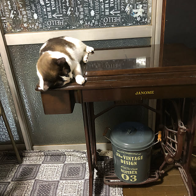 vivienne.coco-keiさんの実例写真