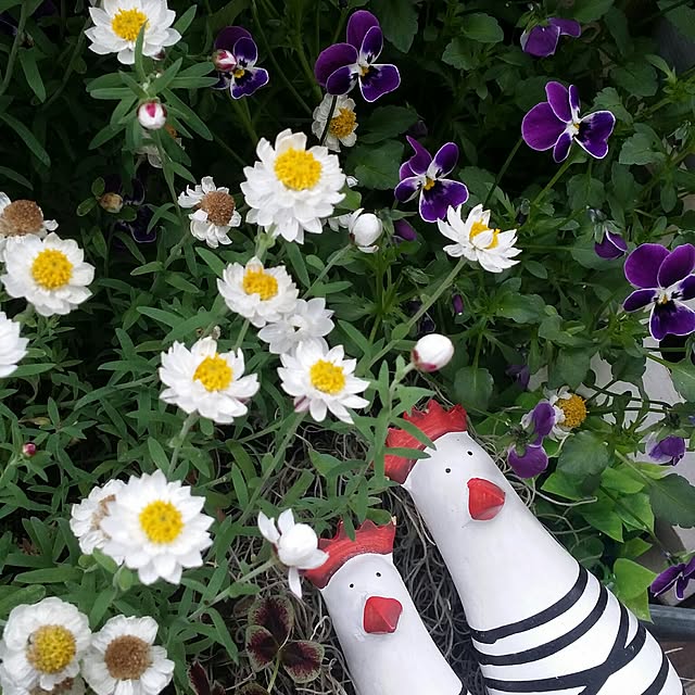 karinさんの実例写真