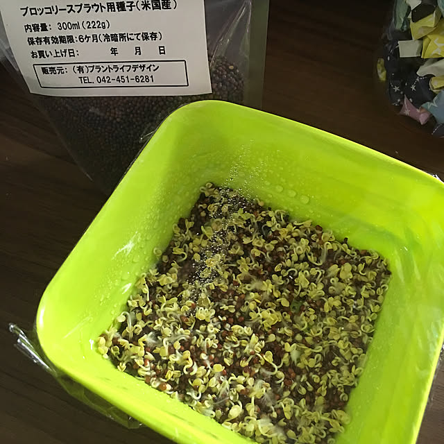 Satoshiさんの実例写真
