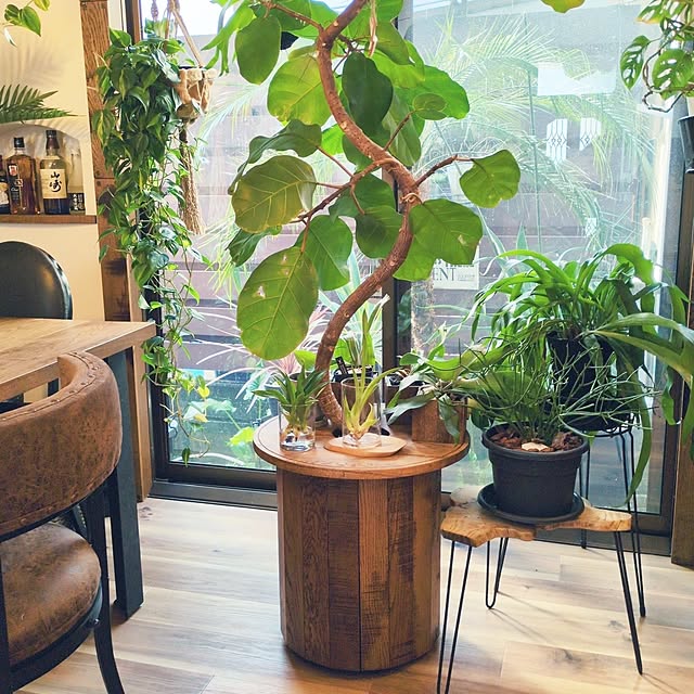 milkyさんの実例写真