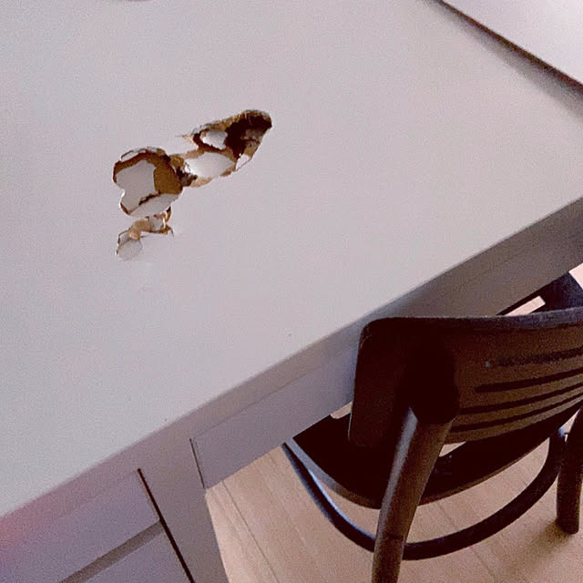 Ninaさんの実例写真