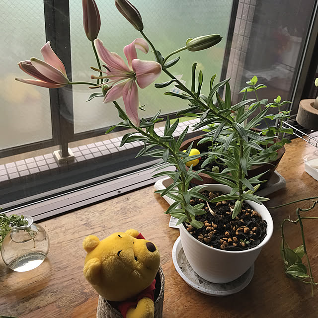 sayuさんの実例写真
