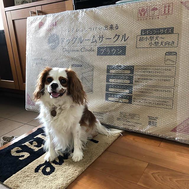 canmilmamaさんの実例写真
