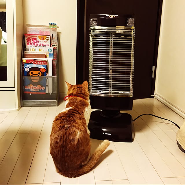 nyanyakoさんの実例写真