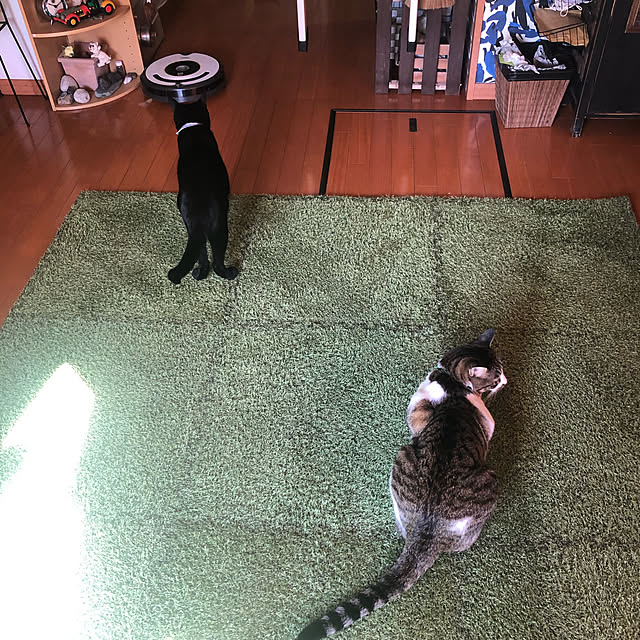 jijiさんの実例写真