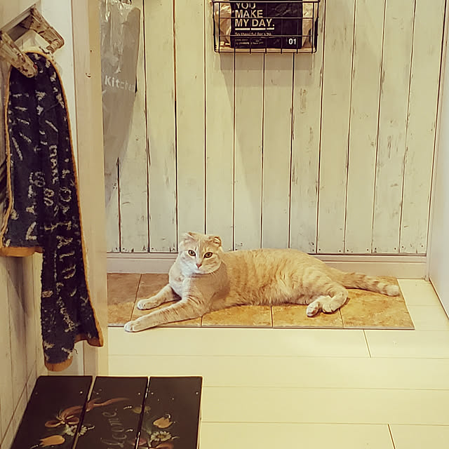 amenboさんの実例写真
