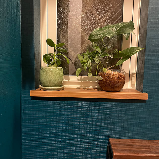 ikuzakさんの部屋