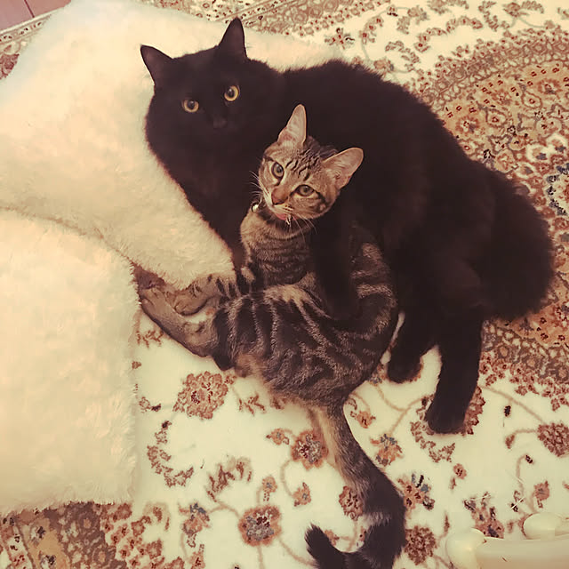 emikoさんの実例写真
